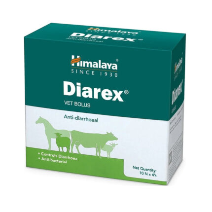 Anti-Diarrhoeal Bolus for Horses: Effective Relief for Digestive Distress