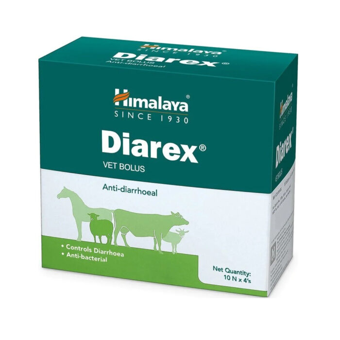 Anti-Diarrhoeal Bolus for Horses: Effective Relief for Digestive Distress