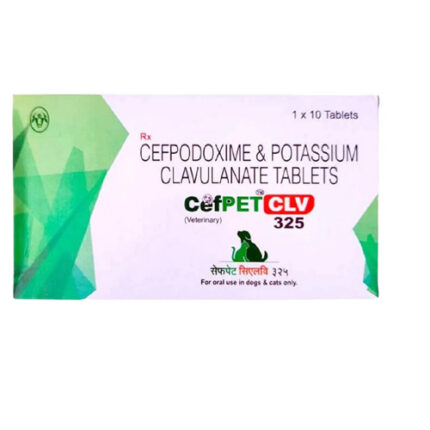 Cefpodoxime & Potassium Clavulanate 325 mg