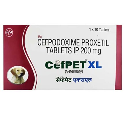 Cefpodoxime Proxetil 200 mg Tablets