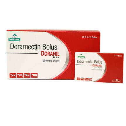 Doramectin Bolus 100mg for horses – antiparasitic treatment for internal and external parasites