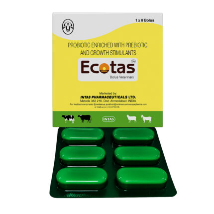 Ecotas Bolus for Horse – broad-spectrum antiparasitic treatment for equines