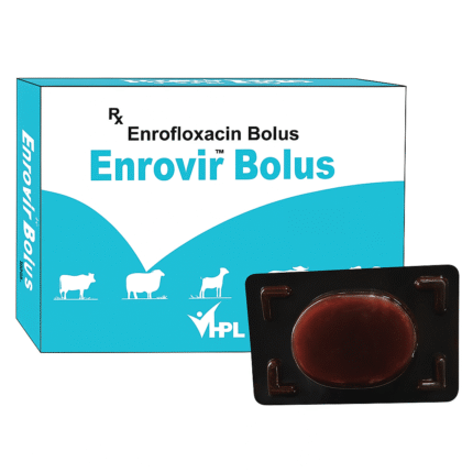 Endrofloxacin Bolus 3g for Horses – Effective Antibiotic for Equine Infections
