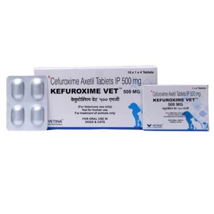 Cefuroxime Axetil 500 mg Tablets