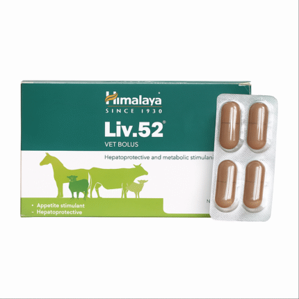 Liv.52 Bolus for Horses – Effective liver support and detoxification formula for equines.