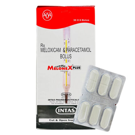 Meloxicam & Paracetamol Bolus for horses, a pain-relief and anti-inflammatory supplement.