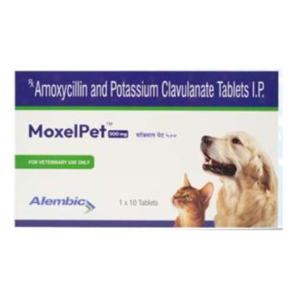 Amoxycillin & Potassium Clavulanate 500 mg Tablet antibiotic tablets for dogs – used in the treatment of bacterial infections such as skin, respiratory, and urinary tract conditions.