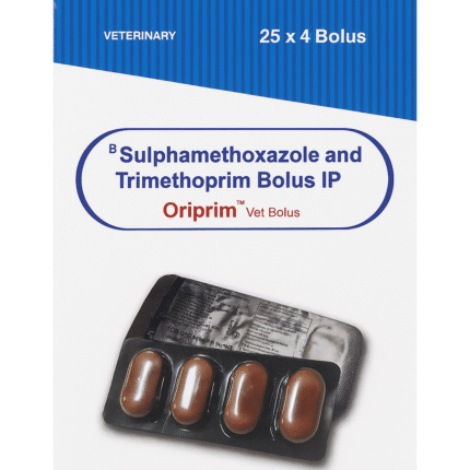 Oriprim Vet Bolus for Horses - Effective Antibacterial Treatment