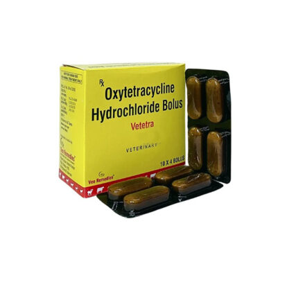 Oxytetracycline HCL Bolus 500 mg for horses – Effective antimicrobial treatment