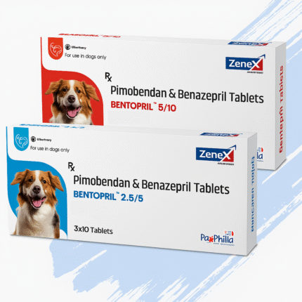 Pimobendan and Benazepril tablets for dogs – heart medication pack