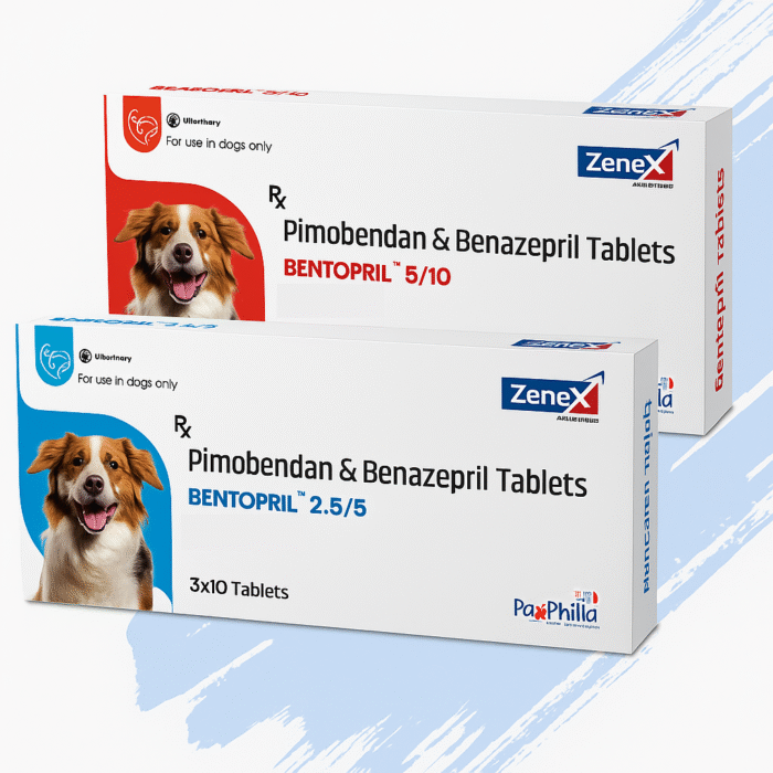 Pimobendan and Benazepril tablets for dogs – heart medication pack