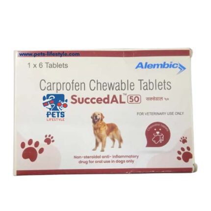 SuccedAL tablets bottle alongside a healthy, active dog