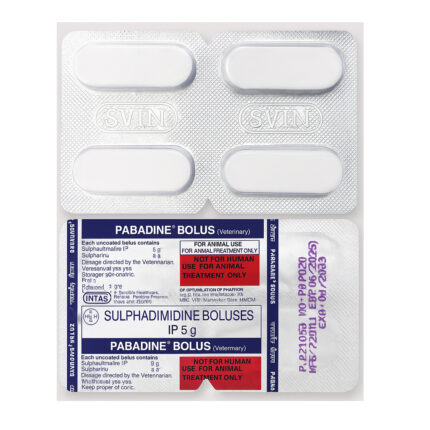 Sulphadimidine Bolus 5g for horses – sulfonamide antibiotic for treating equine infections