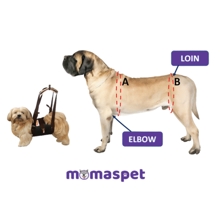 Supportive belly sling belt for dogs with mobility issues, featuring padded handle and adjustable straps.