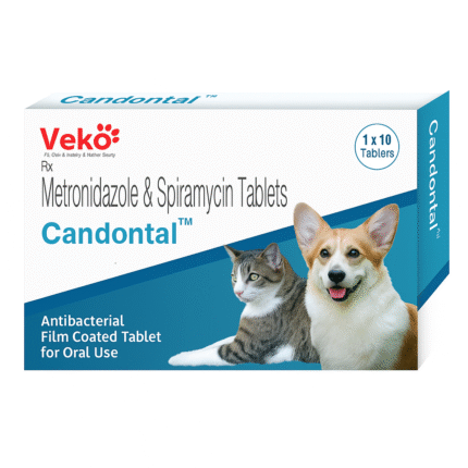Candontal Tablet for pets – Antifungal treatment for fungal infections in dogs and cats.