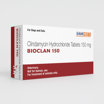 Clindamycin Hydrochloride Tablet for pets – Antibiotic for treating bacterial infections in dogs and cats.