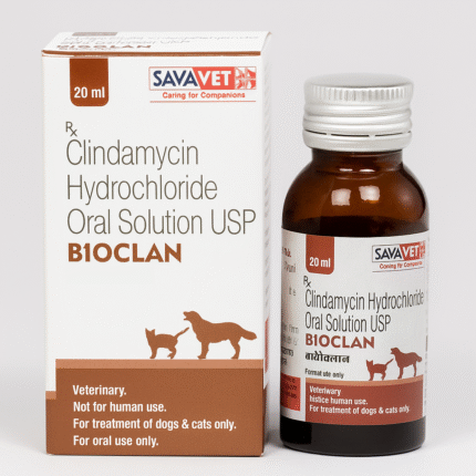 Clindamycin Oral Solution 20 mL for pets – Antibiotic liquid for treating bacterial infections.