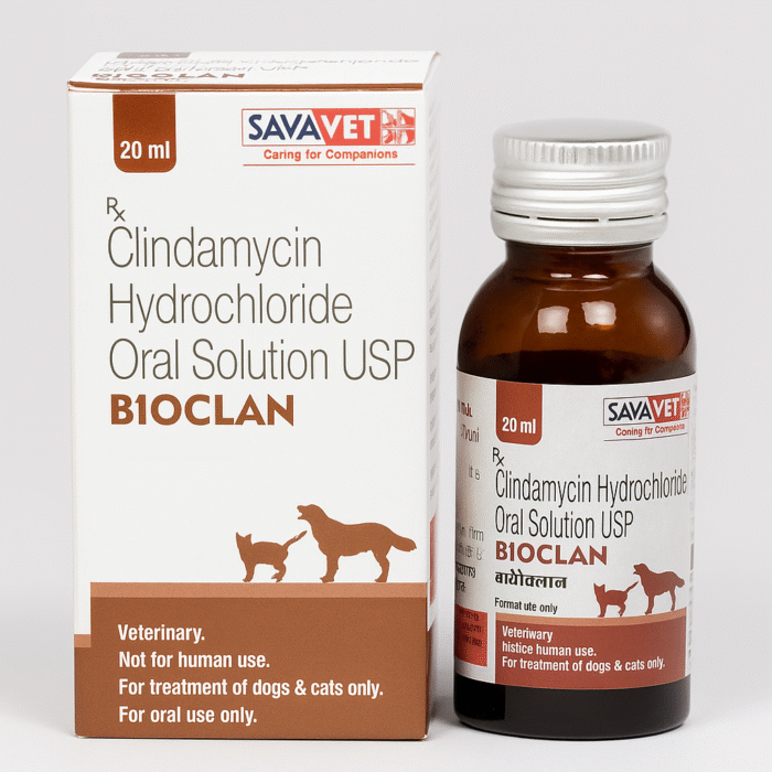 Clindamycin Oral Solution 20 mL for pets – Antibiotic liquid for treating bacterial infections.