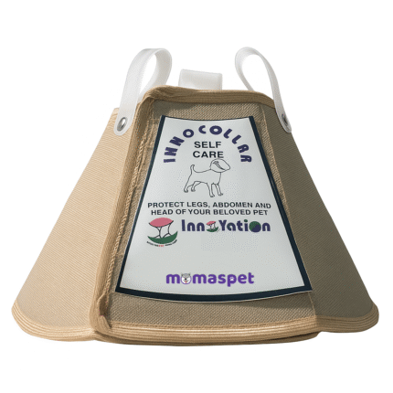 Soft collapsible dog collar for post-surgery recovery and injury prevention.