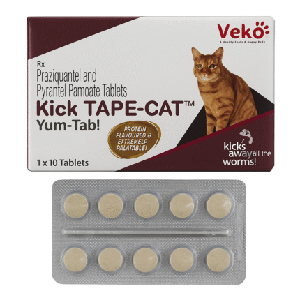 Praziquantel and Pyrantel Pamoate tablet for cats, effective dewormer against tapeworms and other intestinal parasites