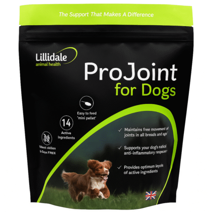 Projoint supplement for dogs – Joint support for better mobility and comfort