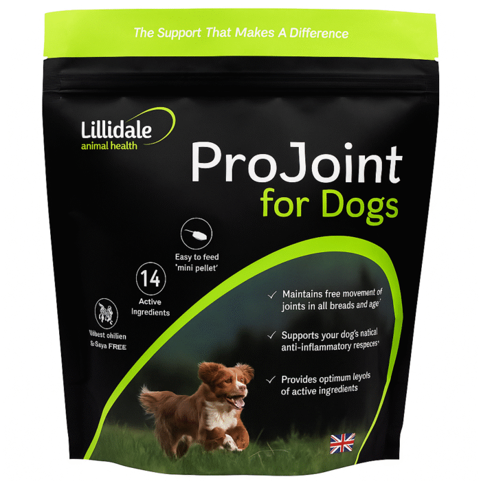 Projoint supplement for dogs – Joint support for better mobility and comfort