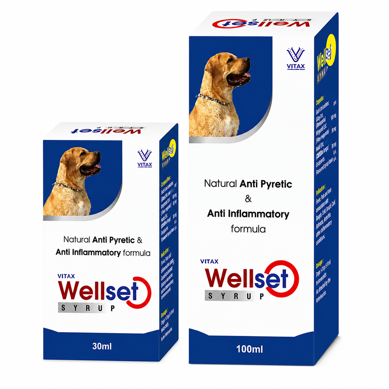 Anti Pyretic Syrup 30mL & 100mL