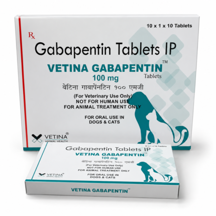 Gabapentin 100mg for Dog