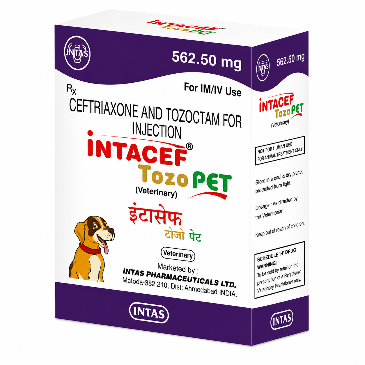 Ceftriazone and Tozoctam Injection 562.50 mg